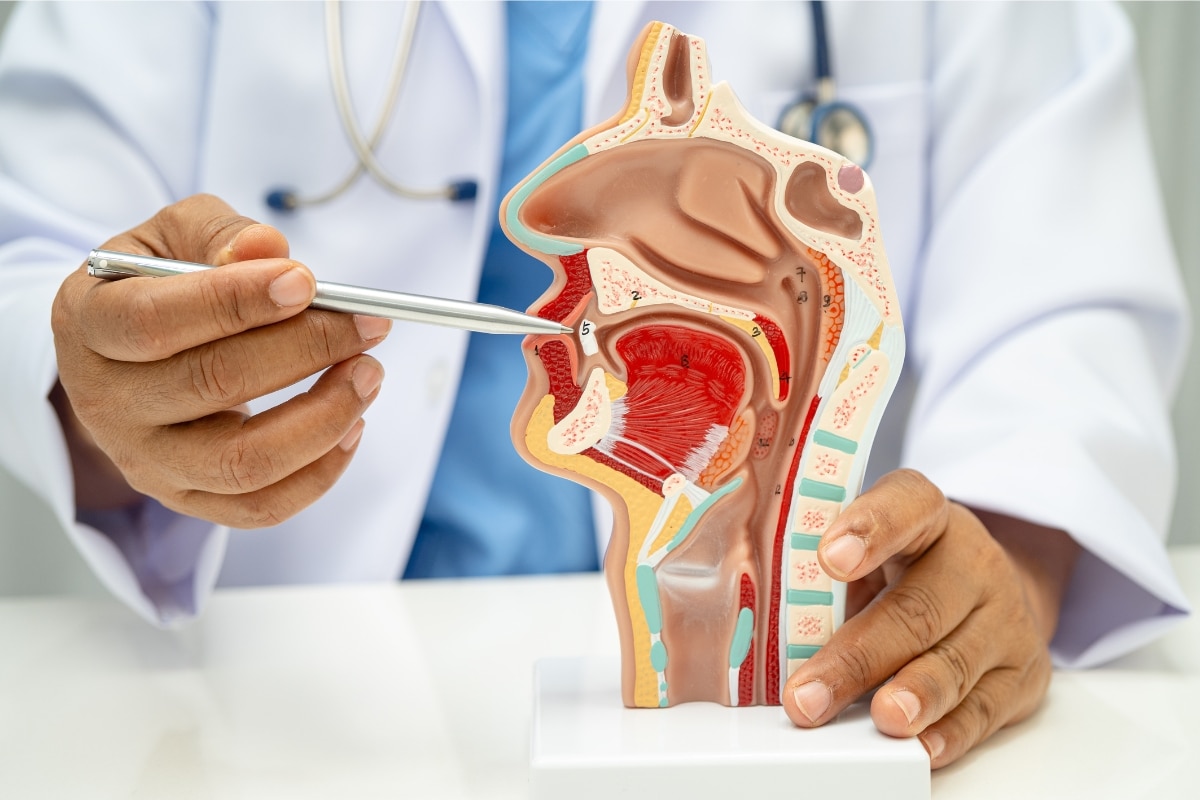 Sign of Cavity Becomes an Infection - Hurd Family Dental Trusted Dental Clinic in Lee s Summit MO 64063