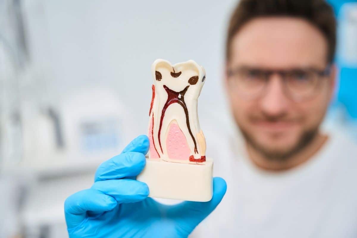 Root Canal Therapy in Lees Summit