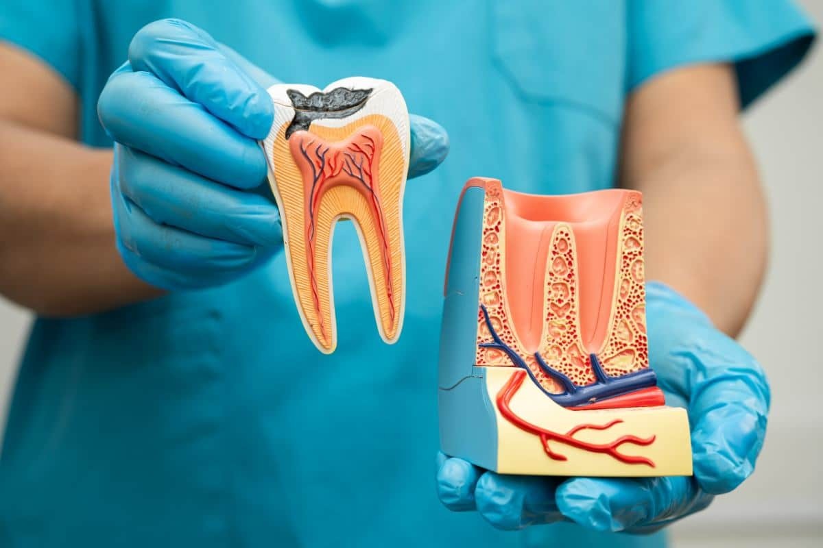 Featured image for “How Modern Root Canal Therapy Makes Dental Treatment More Comfortable?”